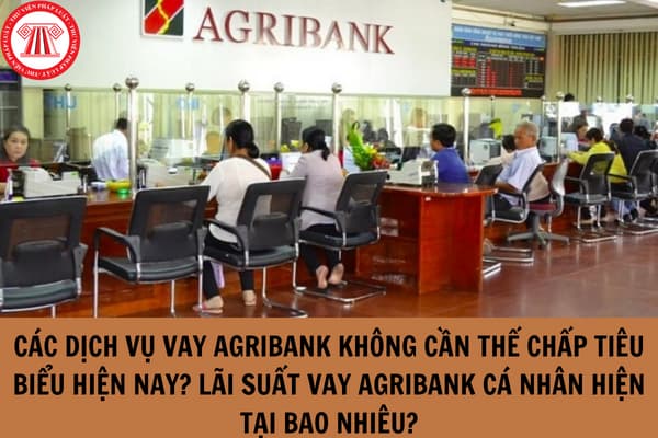 Các dịch vụ vay Agribank không cần thế chấp tiêu biểu hiện nay?