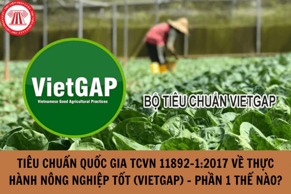 Tiêu chuẩn quốc gia TCVN 11892-1:2017 về Thực hành nông nghiệp tốt (VIETGAP) - Phần 1: Trồng trọt như thế nào?
