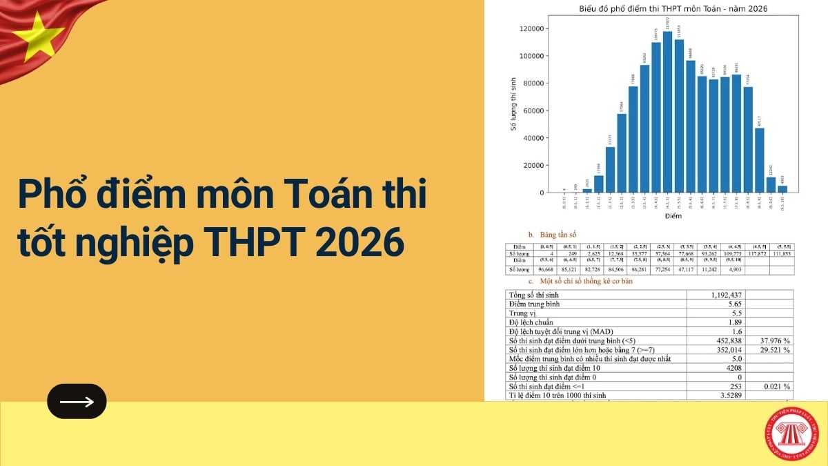 Pháp luật