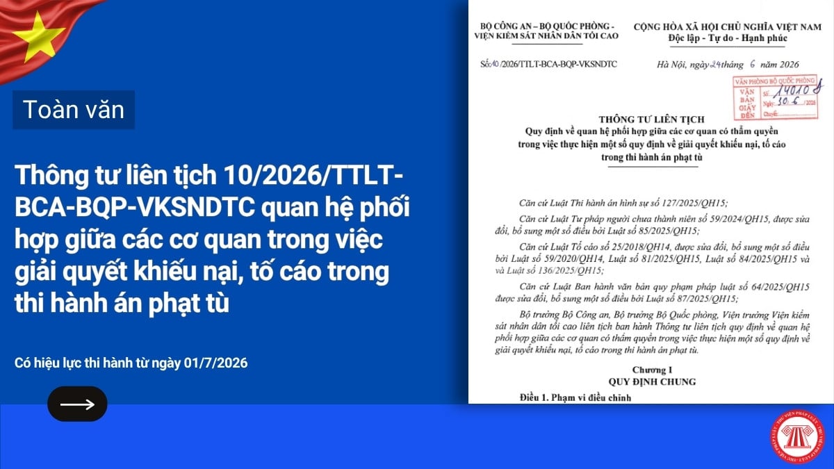 Pháp luật
