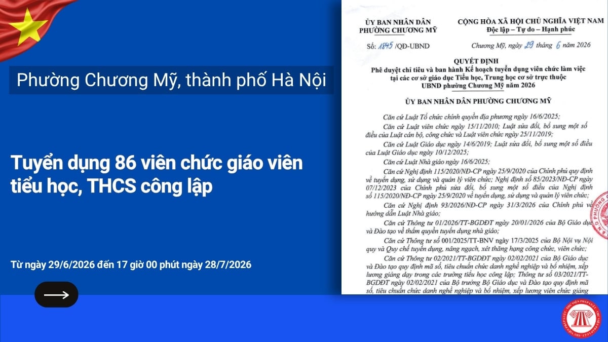 Pháp luật