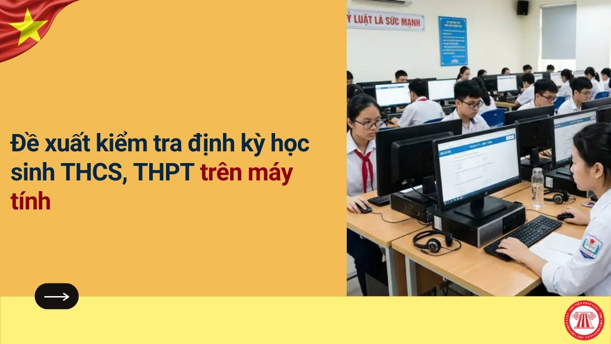 Pháp luật
