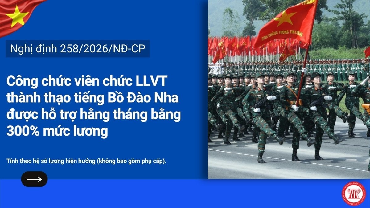 Pháp luật