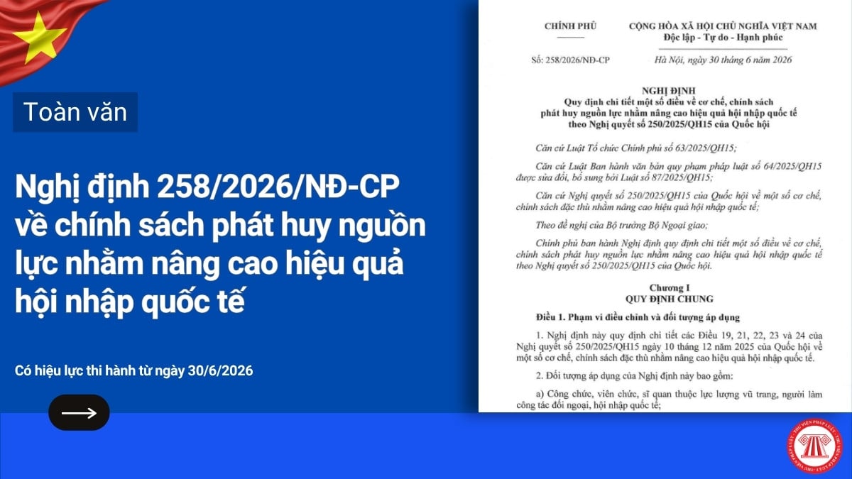 Pháp luật