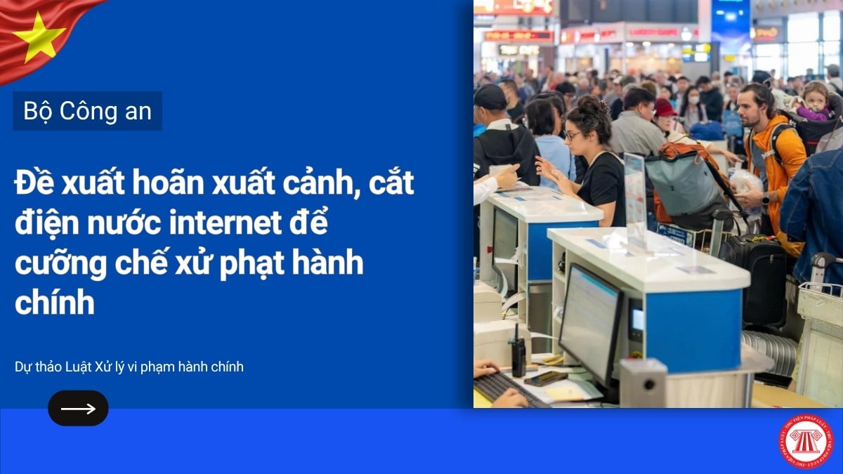 Pháp luật