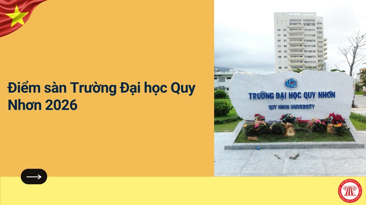 Pháp luật