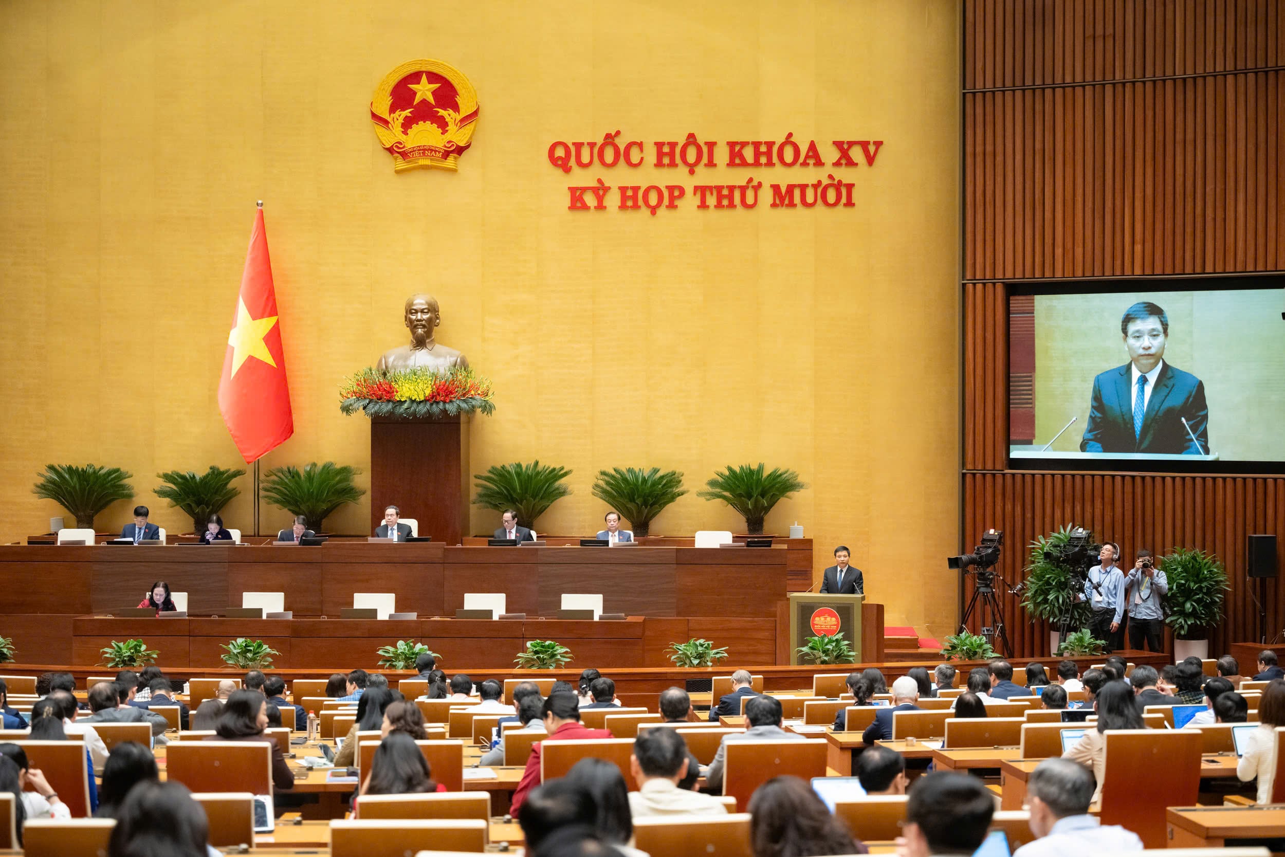 Pháp luật