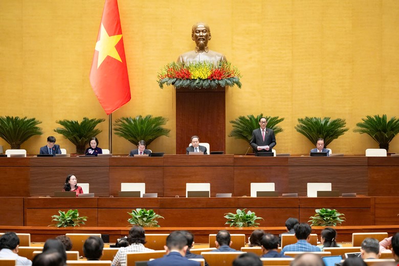 Pháp luật