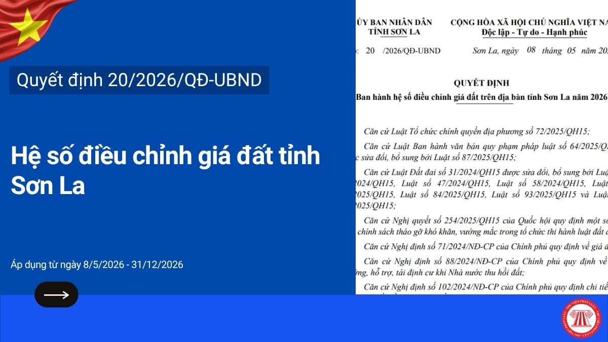 Pháp luật