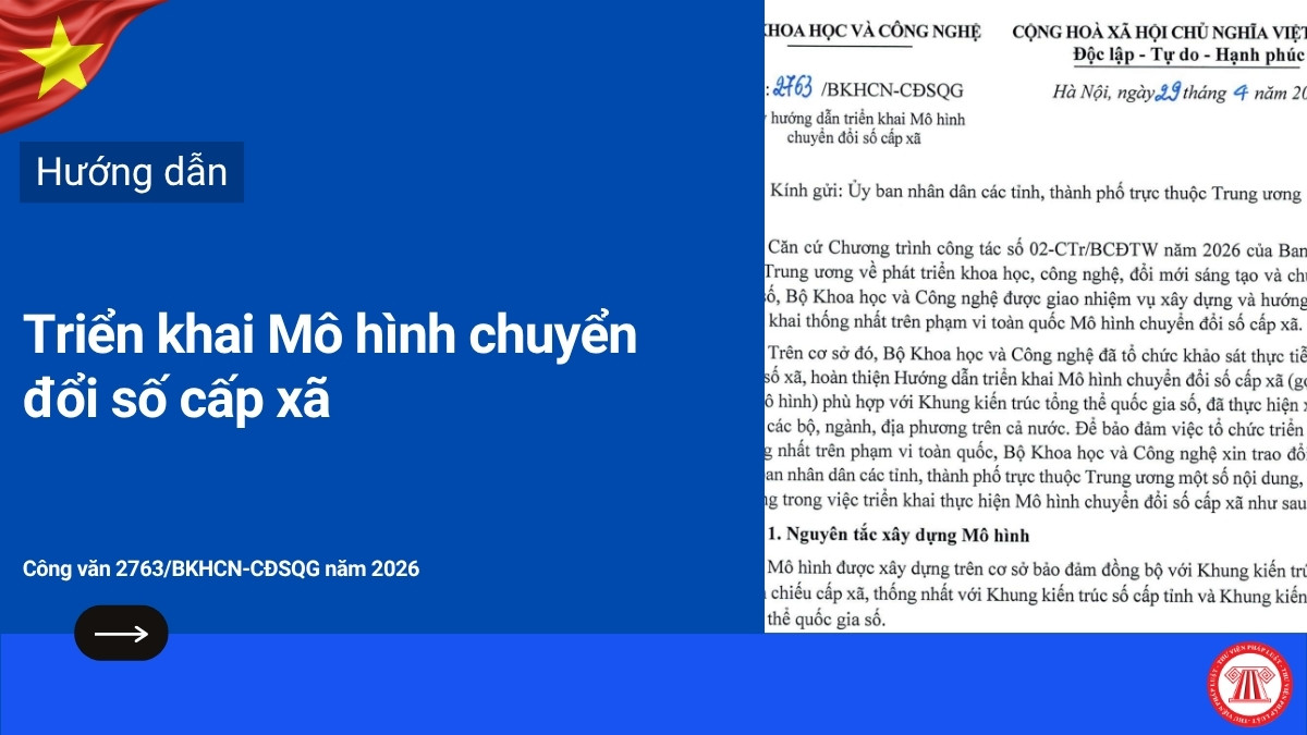 Pháp luật