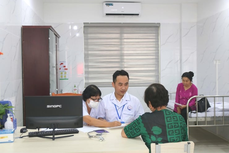 Pháp luật