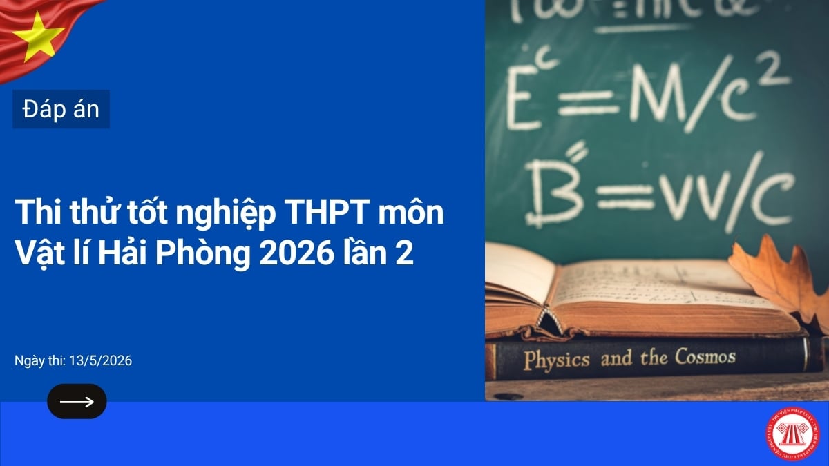 Pháp luật