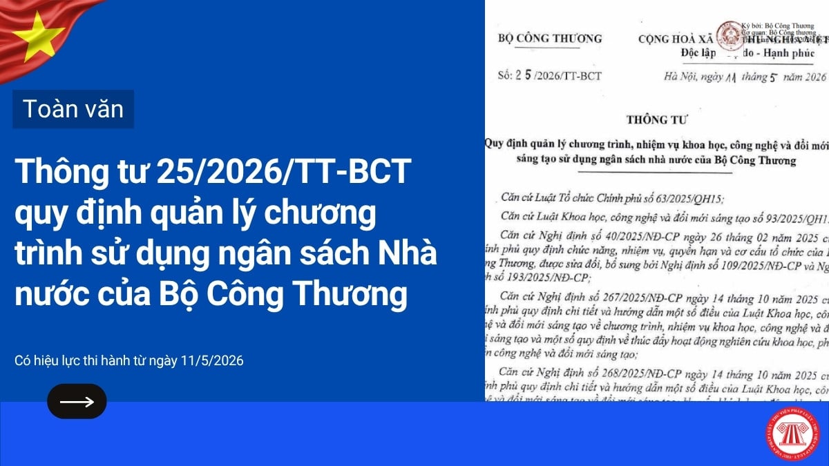 Pháp luật