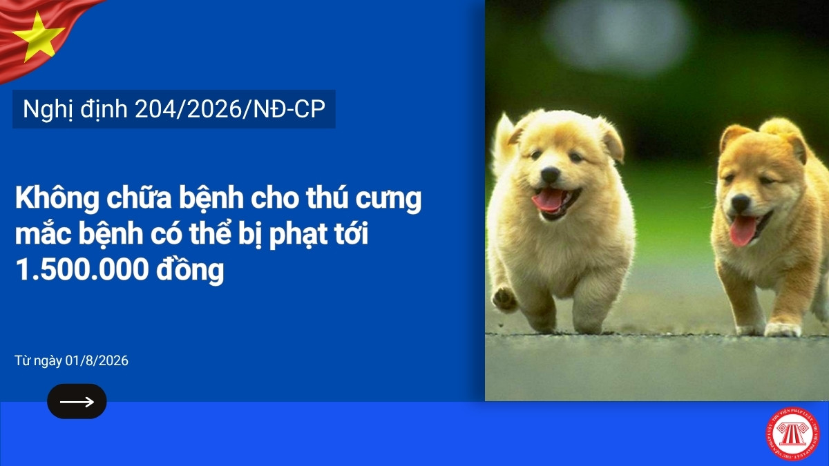 Pháp luật