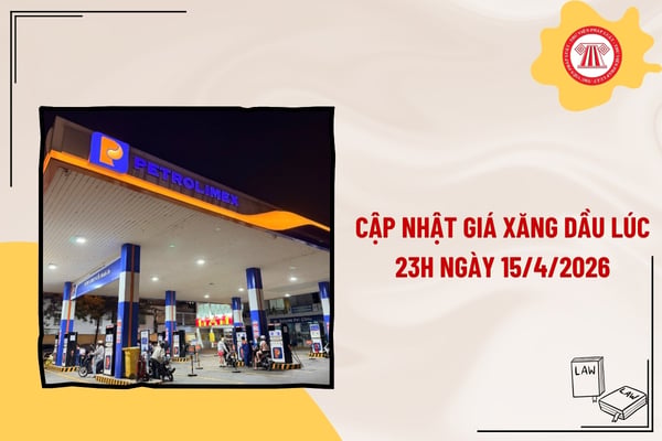 Pháp luật