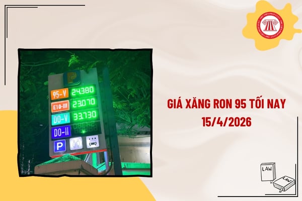 Pháp luật