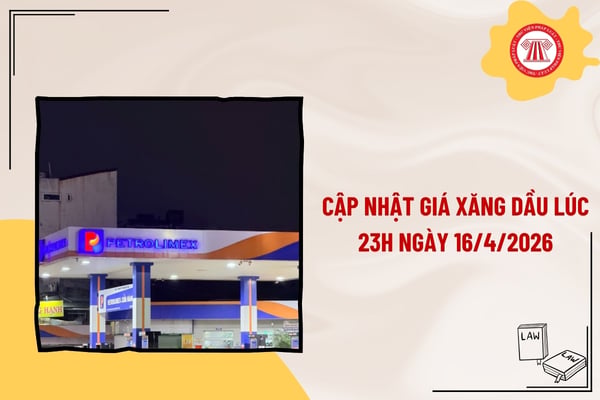 Pháp luật