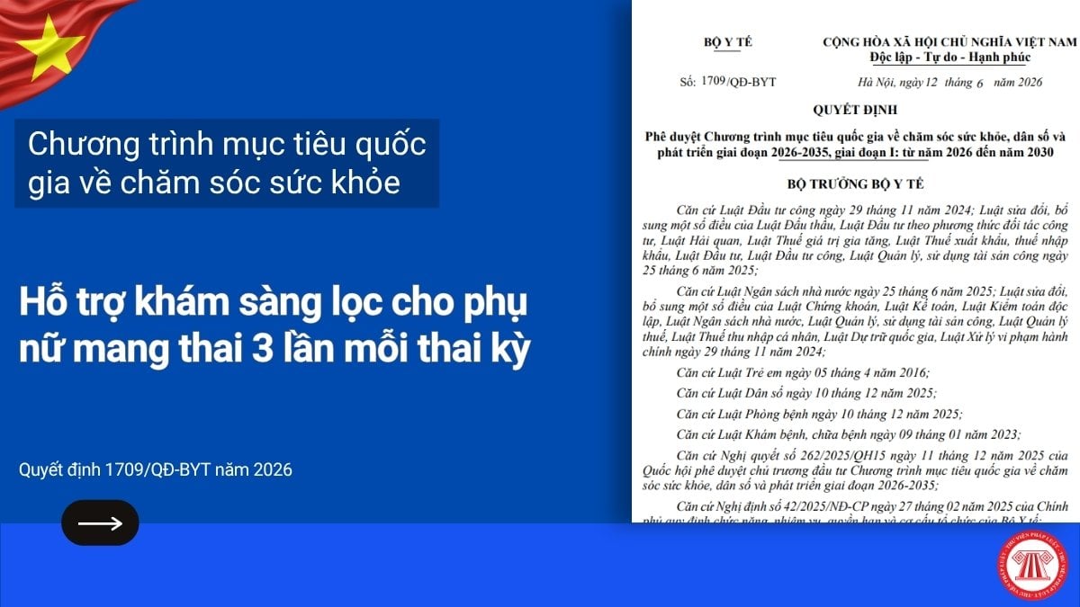Pháp luật