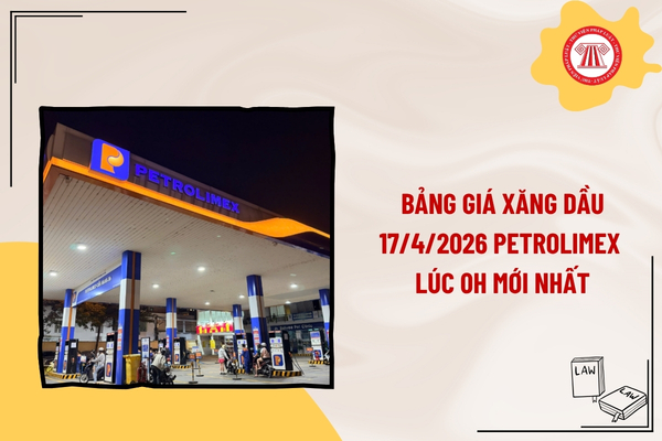 Pháp luật