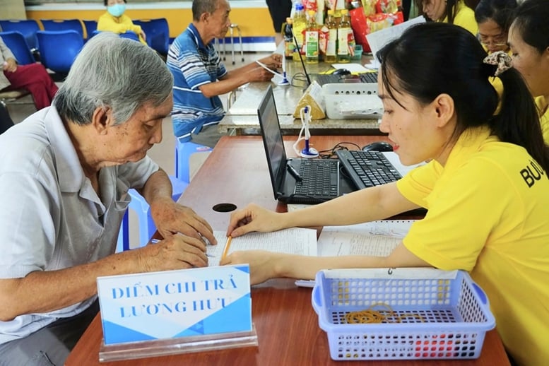 Pháp luật