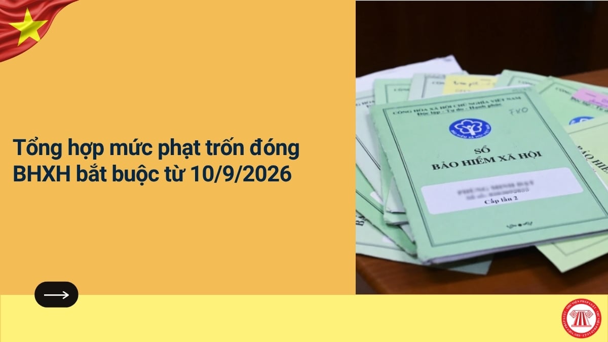 Pháp luật