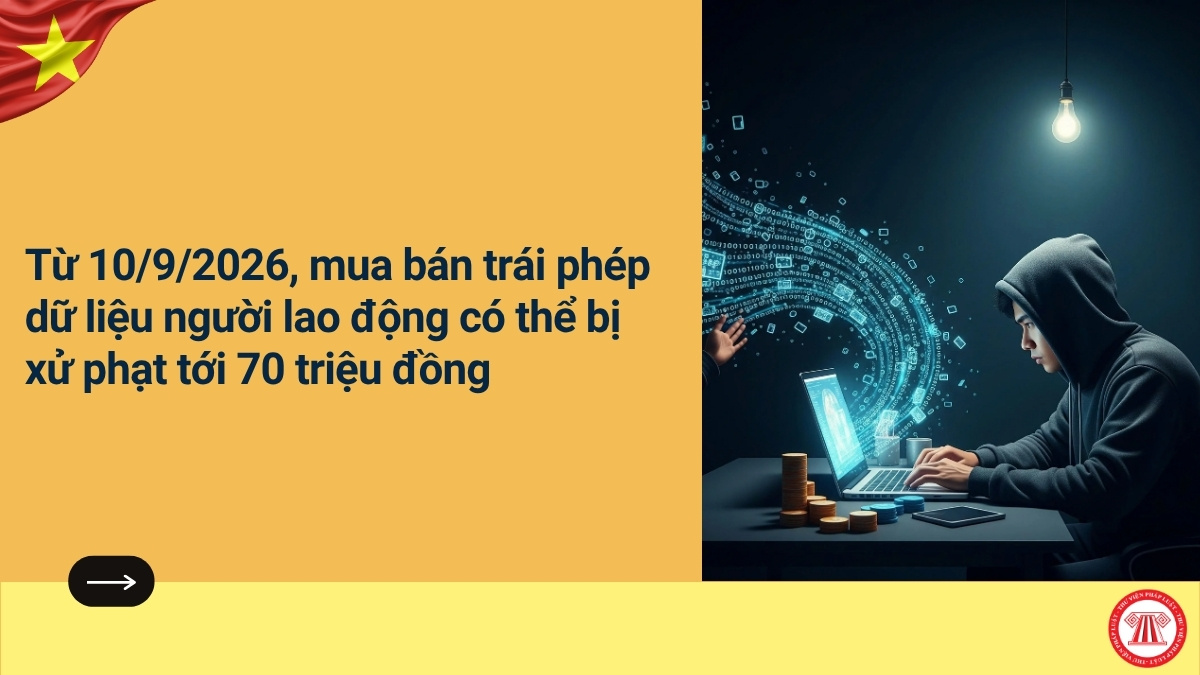 Pháp luật