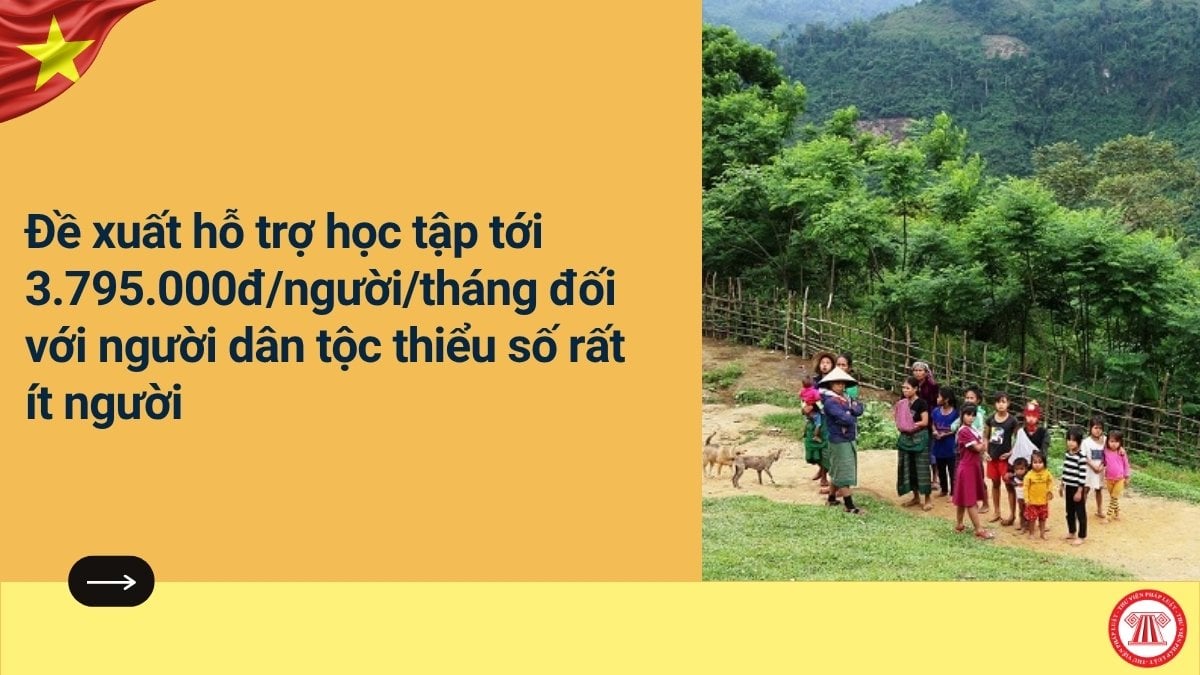 Pháp luật
