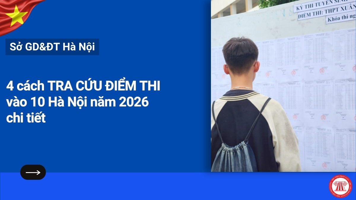 Pháp luật