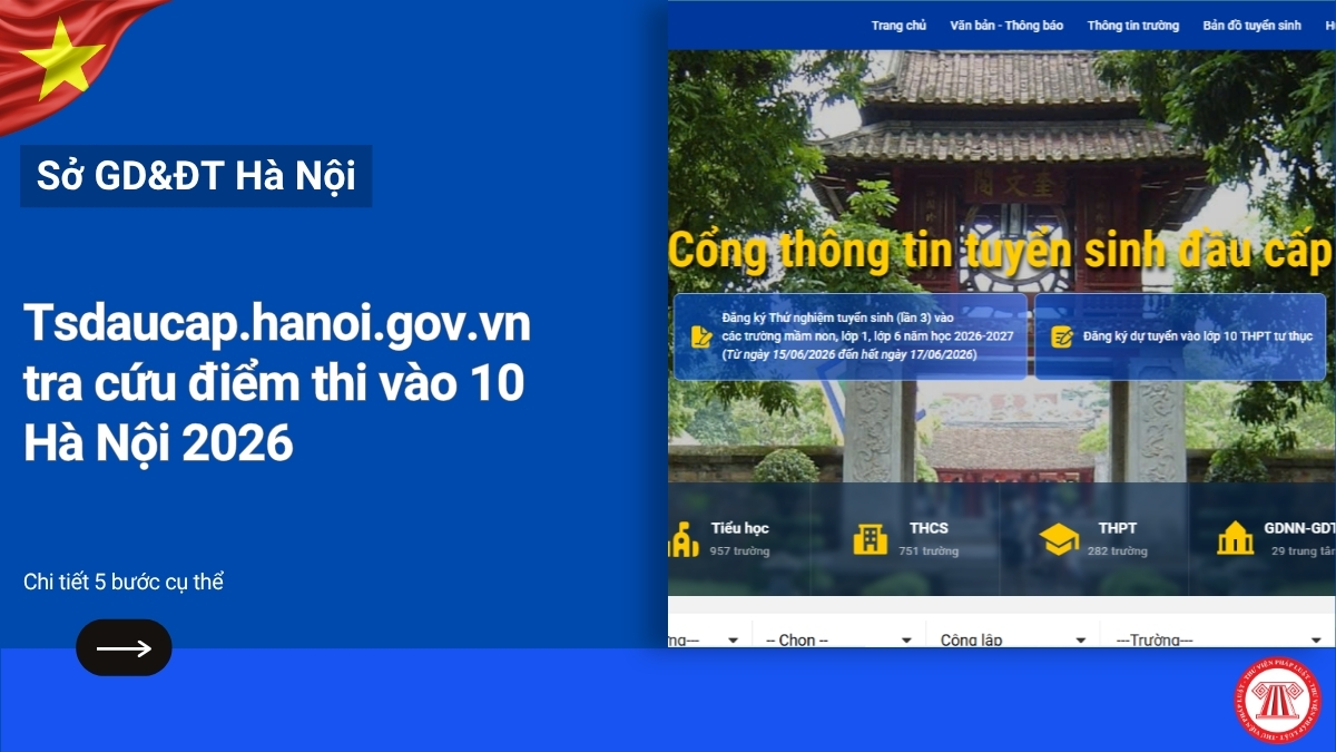 Pháp luật