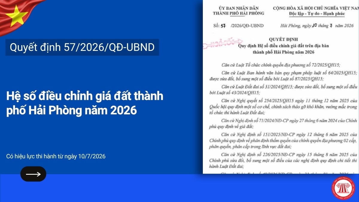 Pháp luật