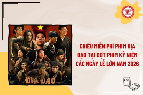 Pháp luật