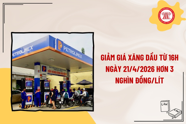 Pháp luật