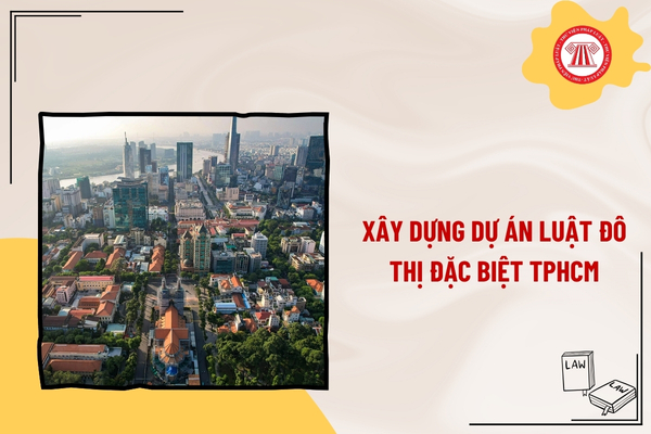 Pháp luật