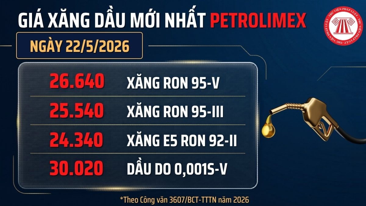 Pháp luật
