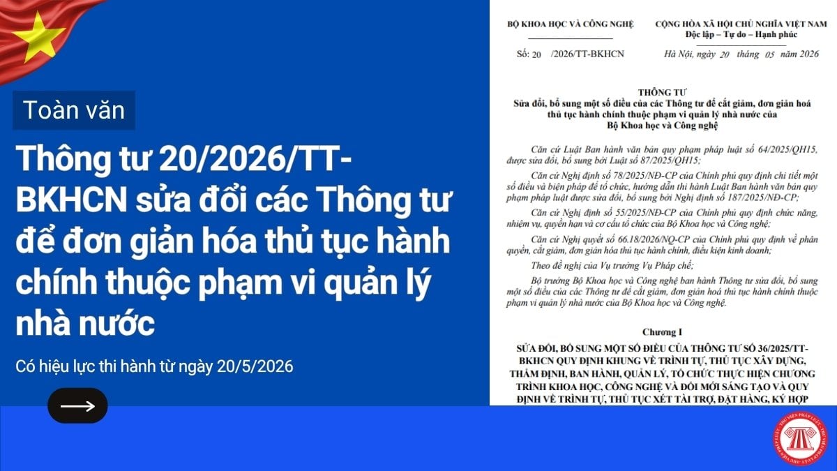 Pháp luật