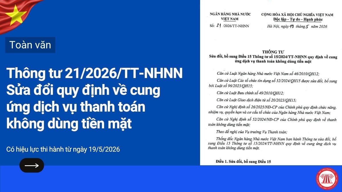 Pháp luật
