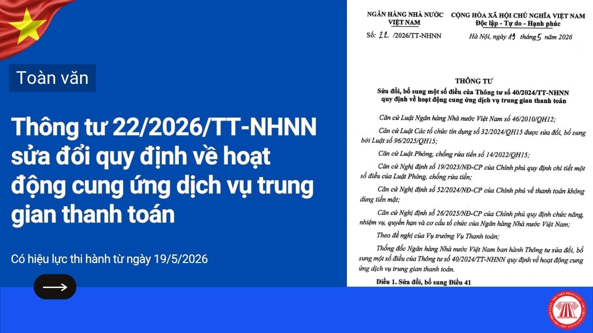 Pháp luật