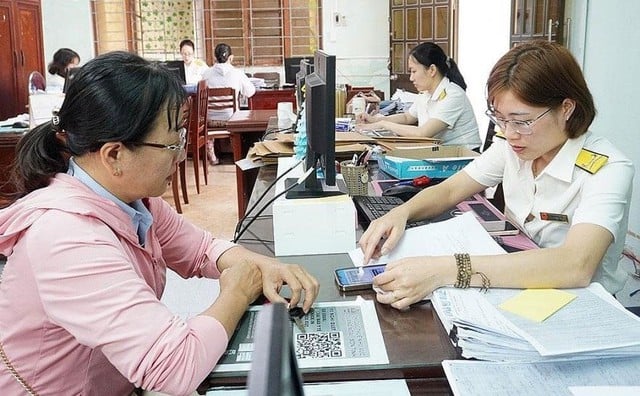 Pháp luật