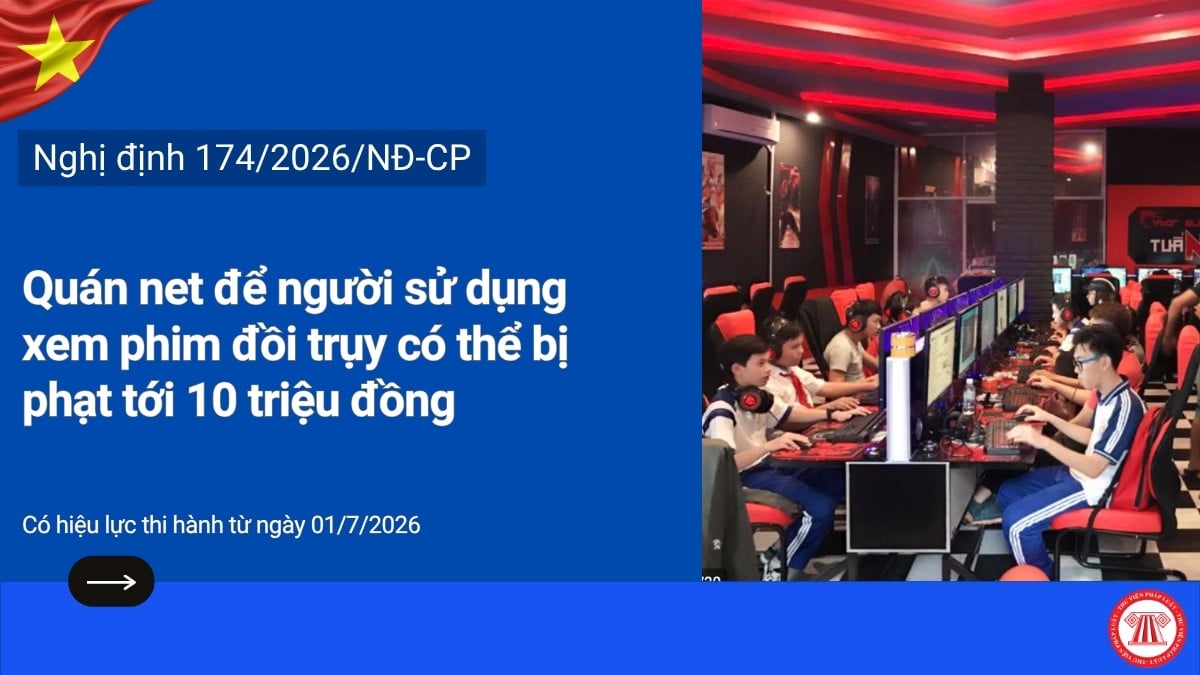 Pháp luật
