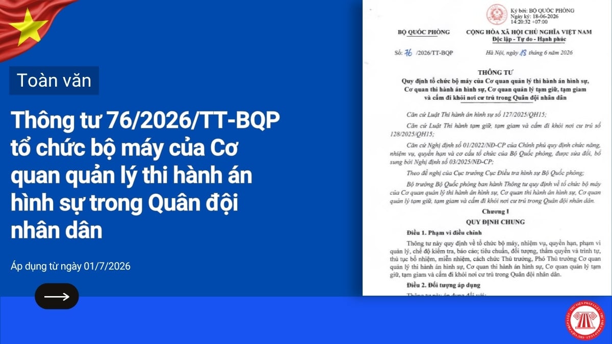Pháp luật