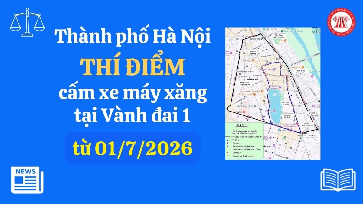 Pháp luật