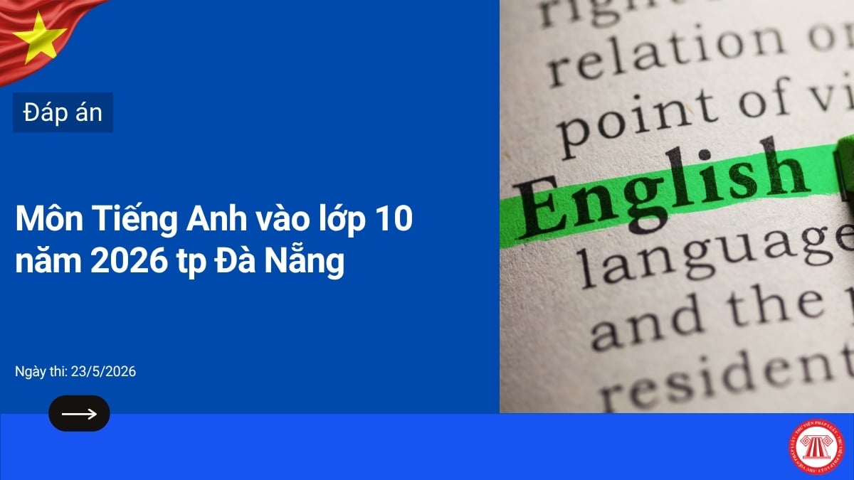 Pháp luật