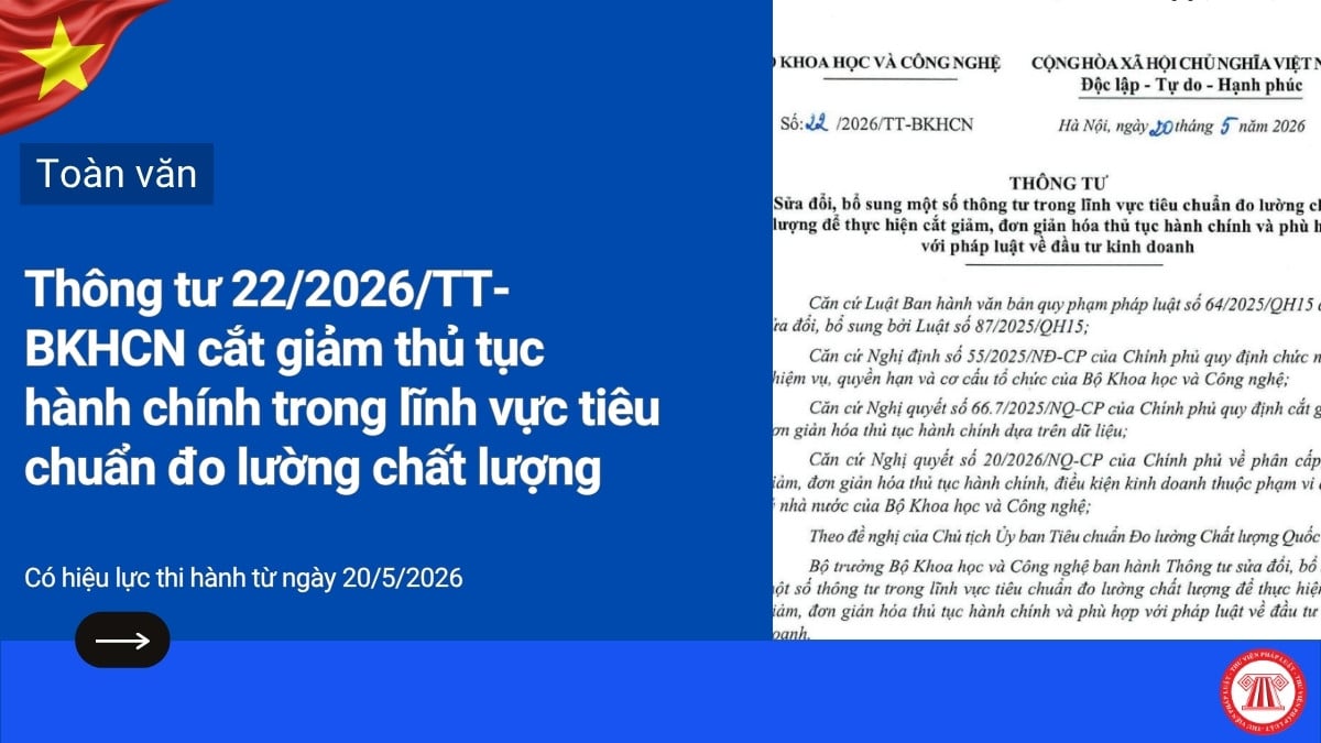 Pháp luật