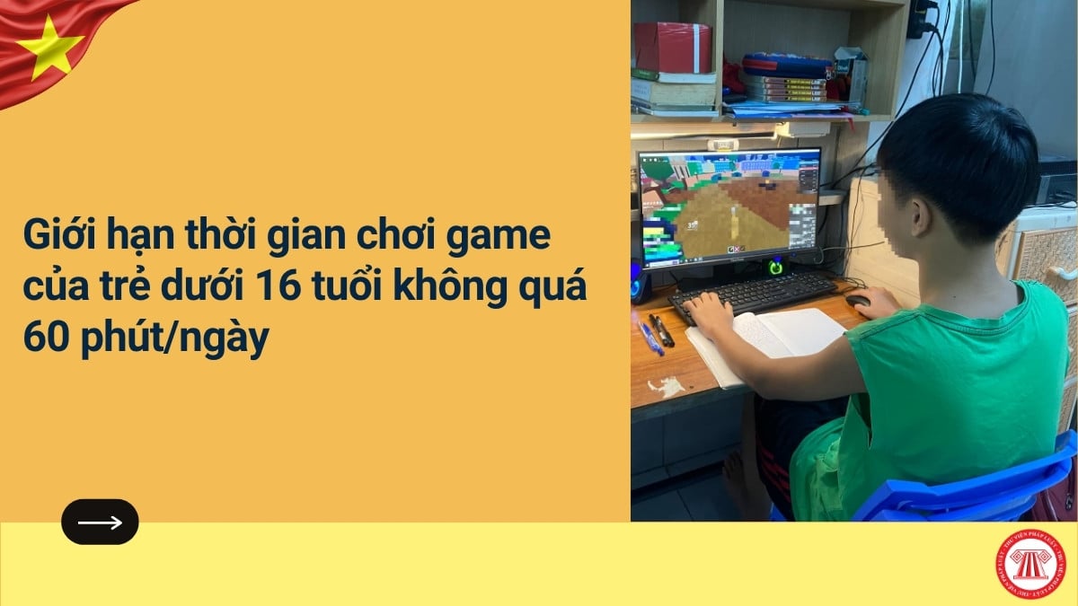 Pháp luật