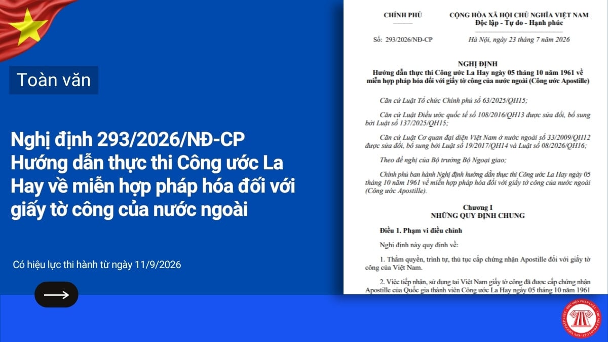 Pháp luật