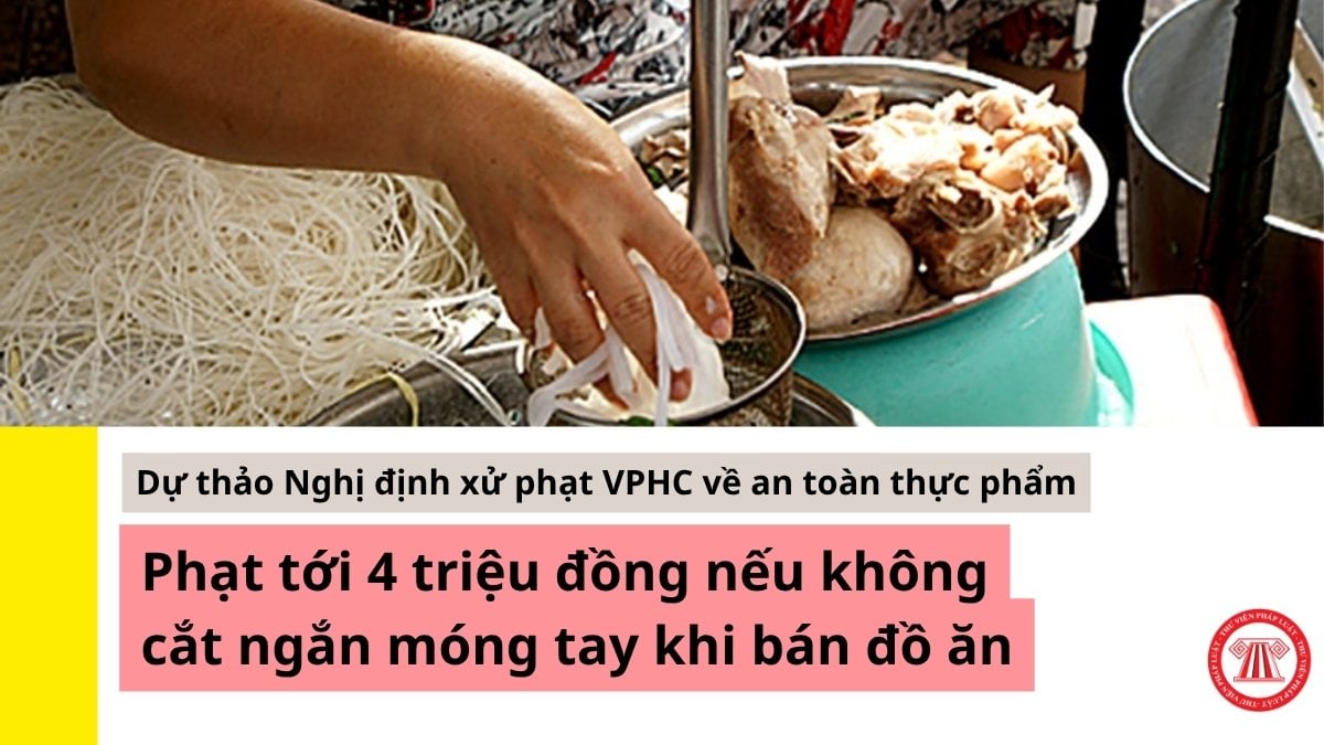Pháp luật