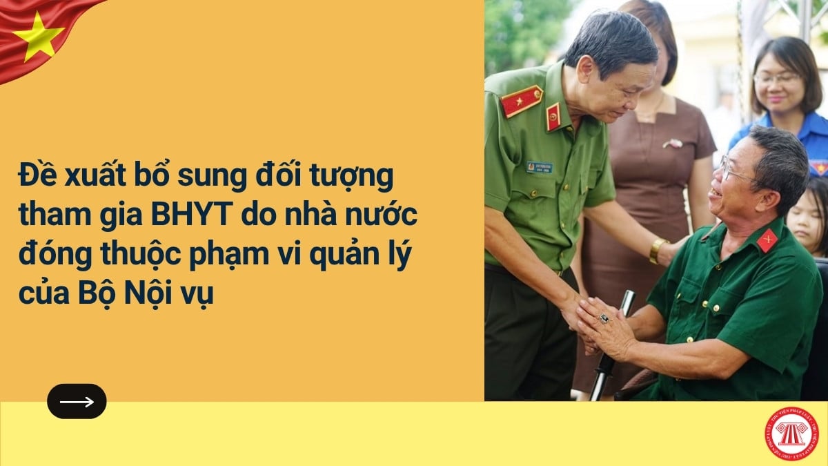 Pháp luật