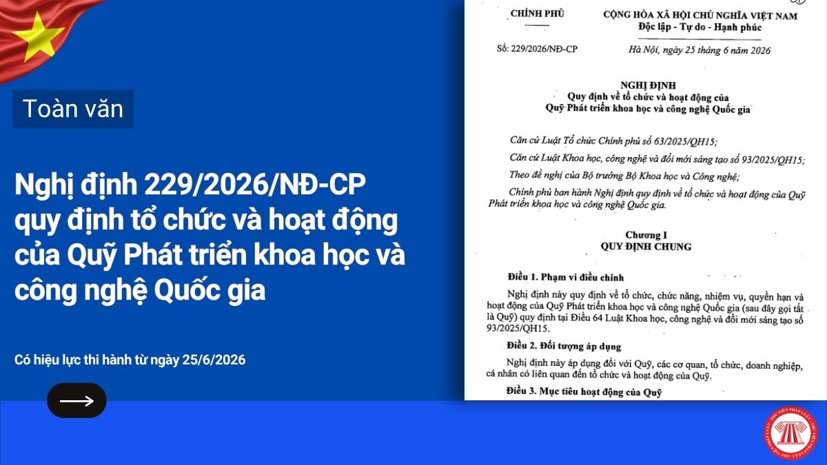 Pháp luật