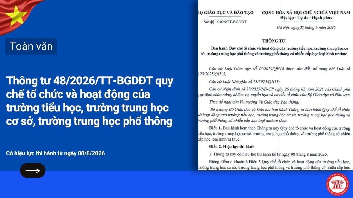 Pháp luật