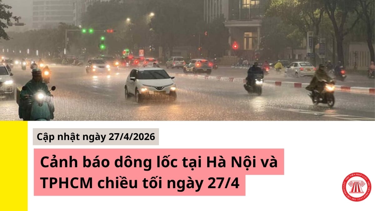 Pháp luật